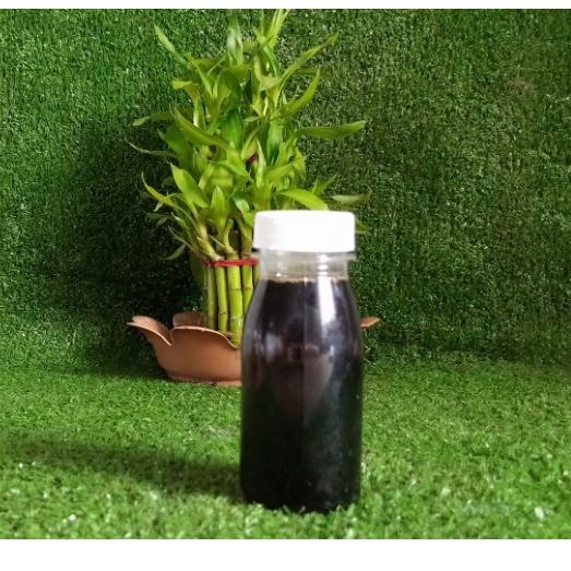 

Harga Promo T8TWZ MADU RANDU, CALLIANDRA, KELENGKENG, SIALANG ETC 100 GRAM 92 Terlaris