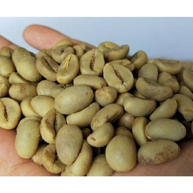 

½ GB robusta fine Dampit