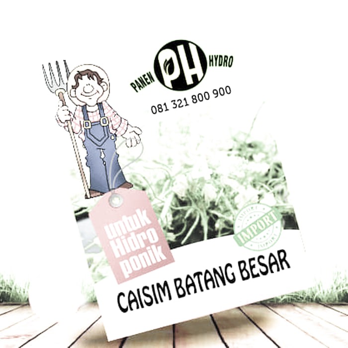 Promo BENIH BIBIT CAISIM BUNGA KHUSUS HIDROPONIK RE SELLER HARGA GROSIR terbaik
