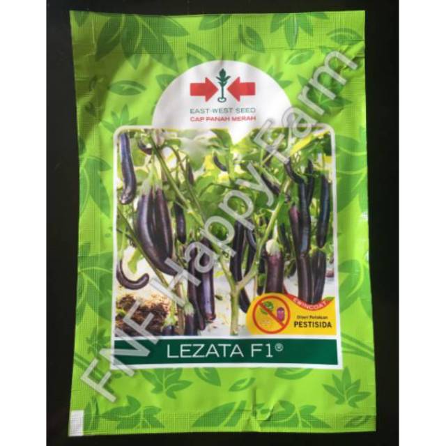 Benih Terong Ungu Lezata 1100butir