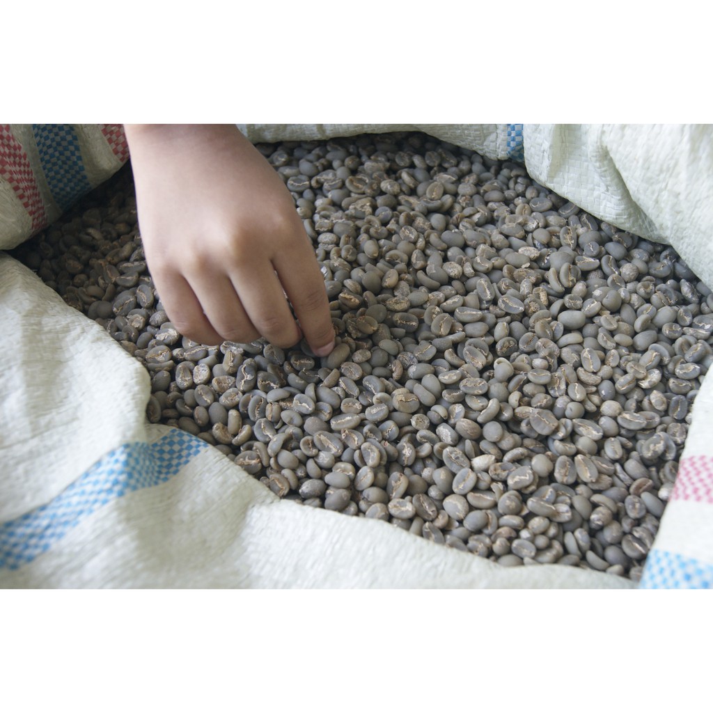 

BIJI KOPI ARABICA GAYO ( GREENBEAN)