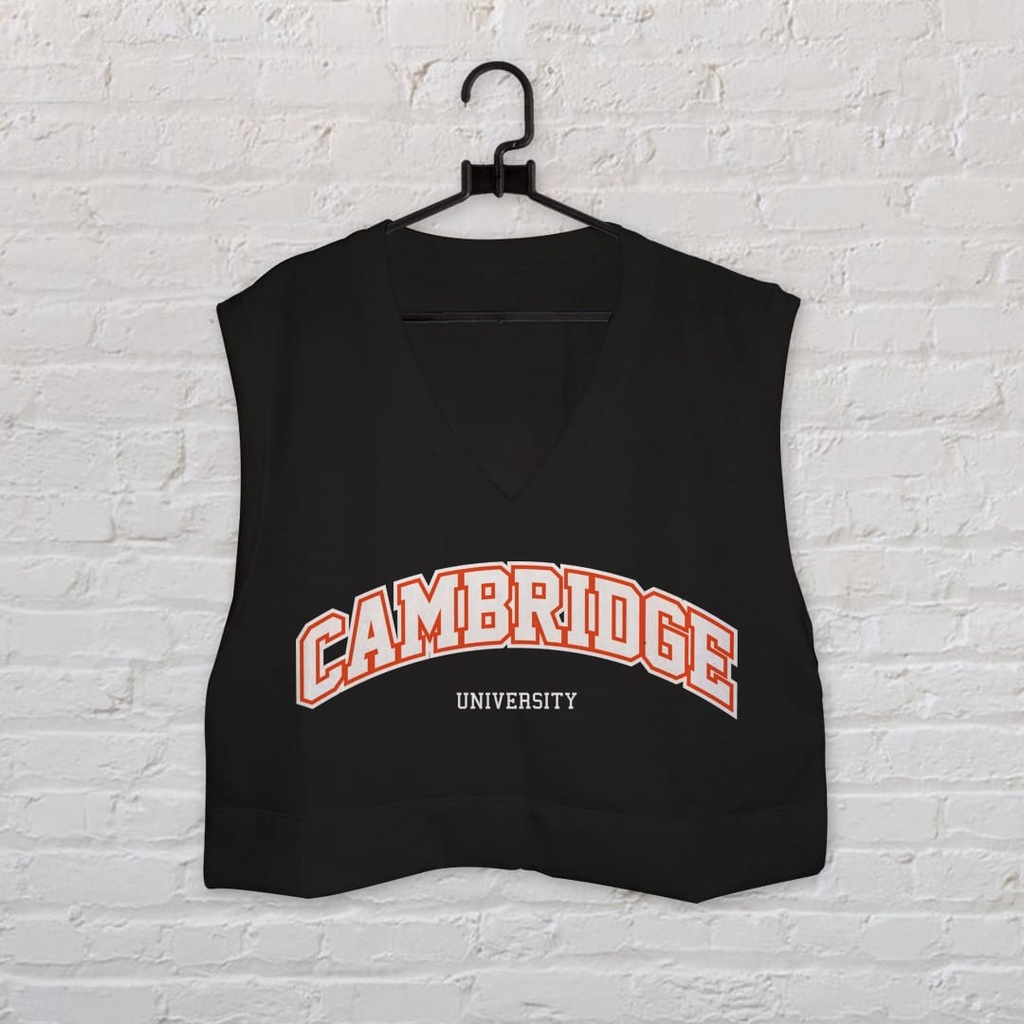 CAMBRIDGE UNIVERSITY HOODIE PRIA KEKINIAN / HOODIE PRIA TEBAL