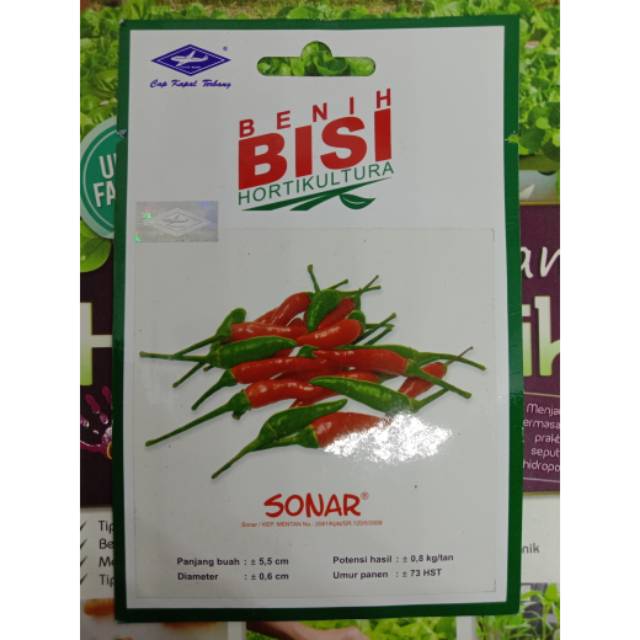 Cabe Rawit Hibrida Sonar