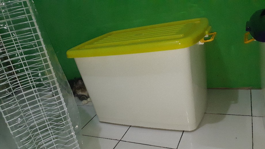Container Box Roda 150 Liter Doremi / Boxer 150 Liter Baca Deskripsi Sebelum  Membeli