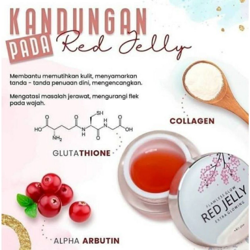 

Cream Berjuta Manfaat Red Jelly - Ms Glow Original