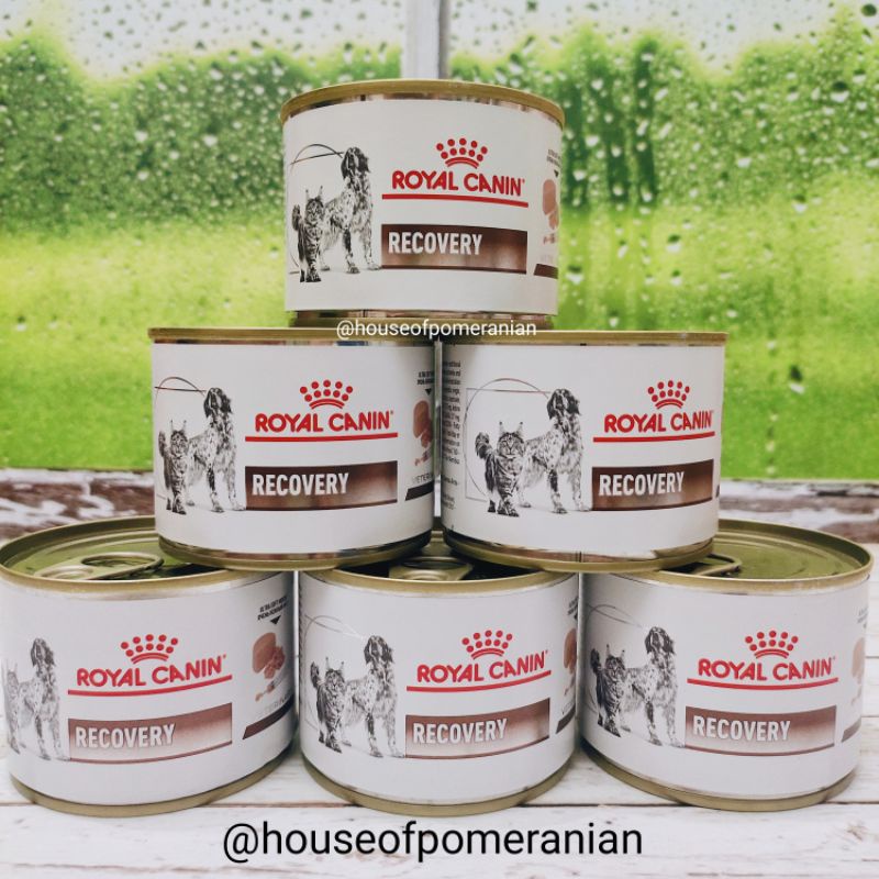 royal canin recovery 195gr anjing kucing sakit makanan wet food