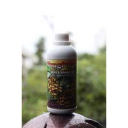 Nongfeng KELENGKENG,PUPUK NONGFENG KELENGKENG CAIR