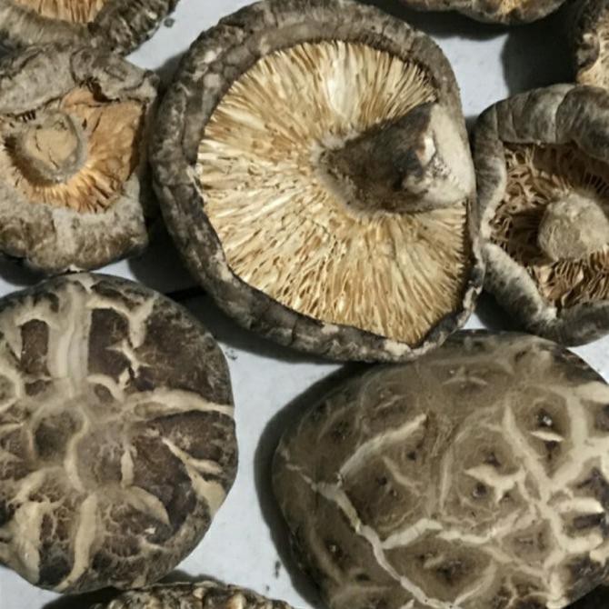 

TERMURAH Jamur Shitake Kering 250gr - Jamur Tong Gu - Hioko - Shiang Gu - Hyoko Kode 99