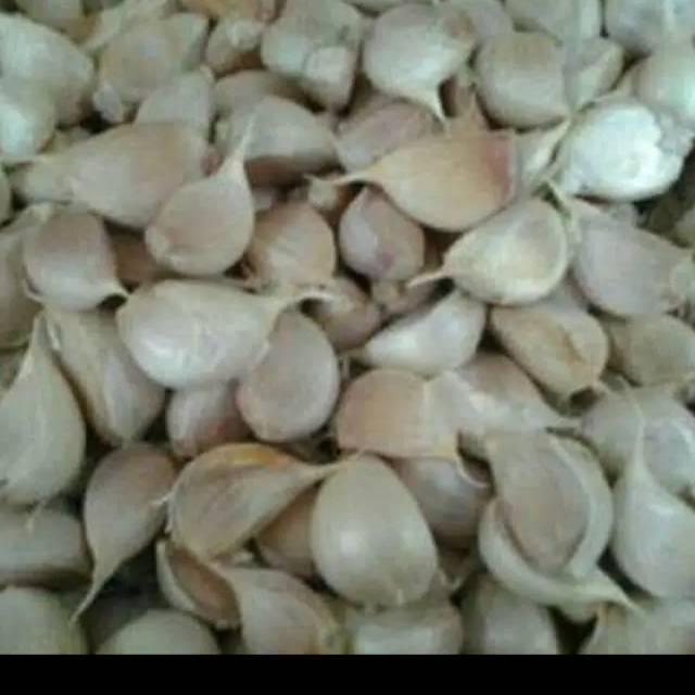 

Bawang putih kating per kg 250 gr