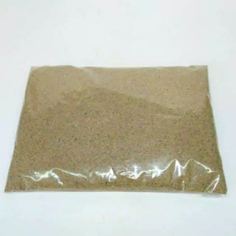 Pasir pantai halus natural alami alas kandang dasar hewan kelomang keong umang kumang 500gr