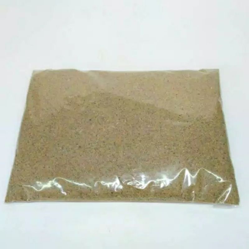 Pasir pantai halus natural alami alas kandang dasar hewan kelomang keong umang kumang 500gr