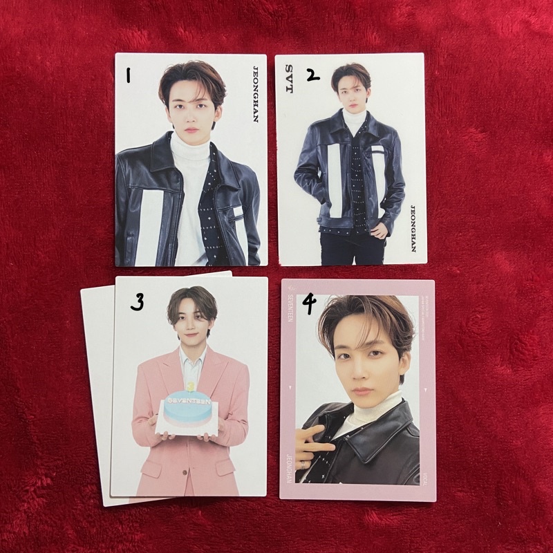 SEVENTEEN JEONGHAN Hare TC PC Trading Card Photocard