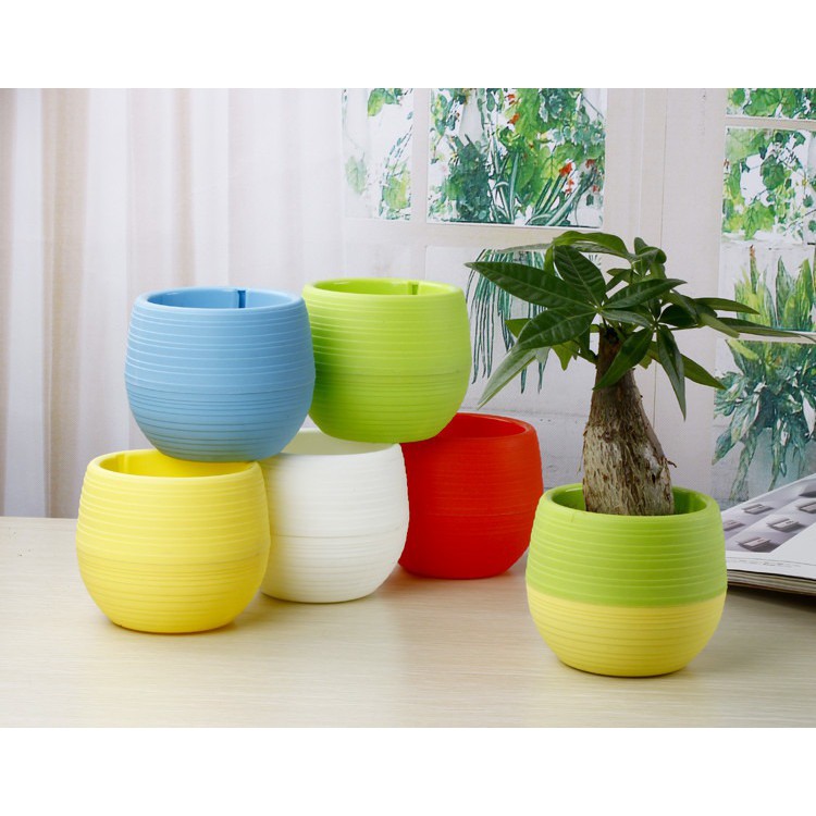 Mini Pot Bunga Hias Kaktus Tanaman - 5 PCS - Multi-Color