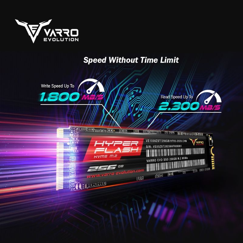 SSD M2 NVME 256GB VARRO