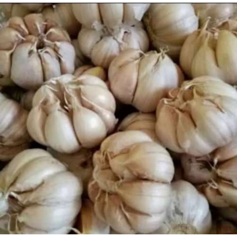 

bawang putih murah/bawang putih sinco/bumbu masak.