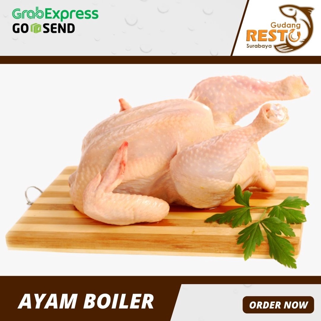 

Ayam Boiler Segar / Ayam Potong Berkualitas / Gudang Resto Surabaya