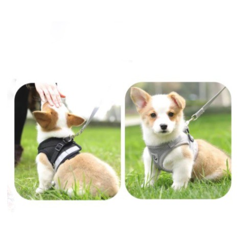 [ PROMO ] HARNESS KUCING HARNESS ANJING TALI KUCING ROMPI KUCING TALI KUCING TUNTUN ROMPI KUCING