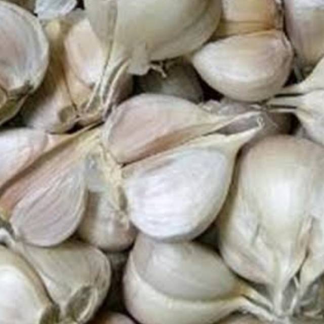 

bawang putih cutting
