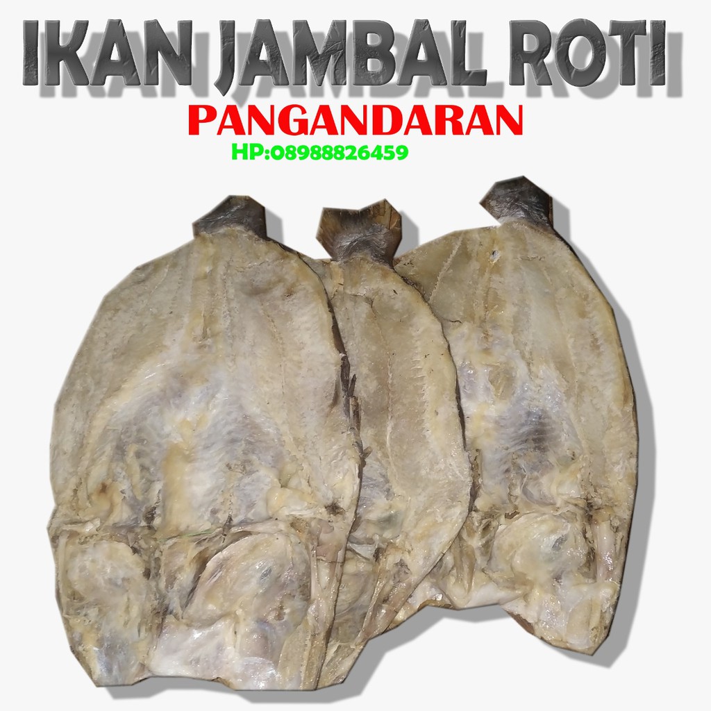 

Jambal Roti asli pangandaran