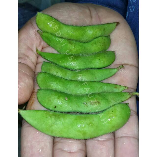 

MURAH!! Edamame 1kg