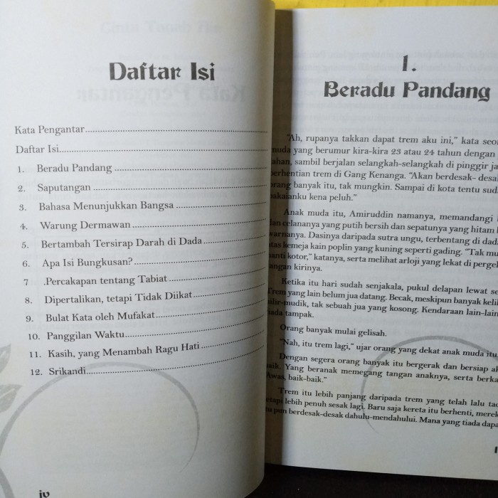 novel cinta tanah air balai pustaka 180 hal