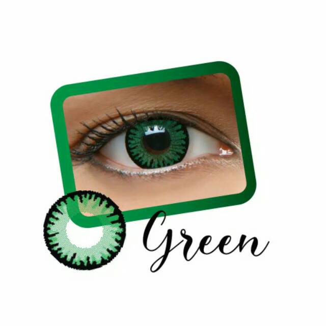 SOFTLENS NEWLOOK PLAYFUL NORMAL