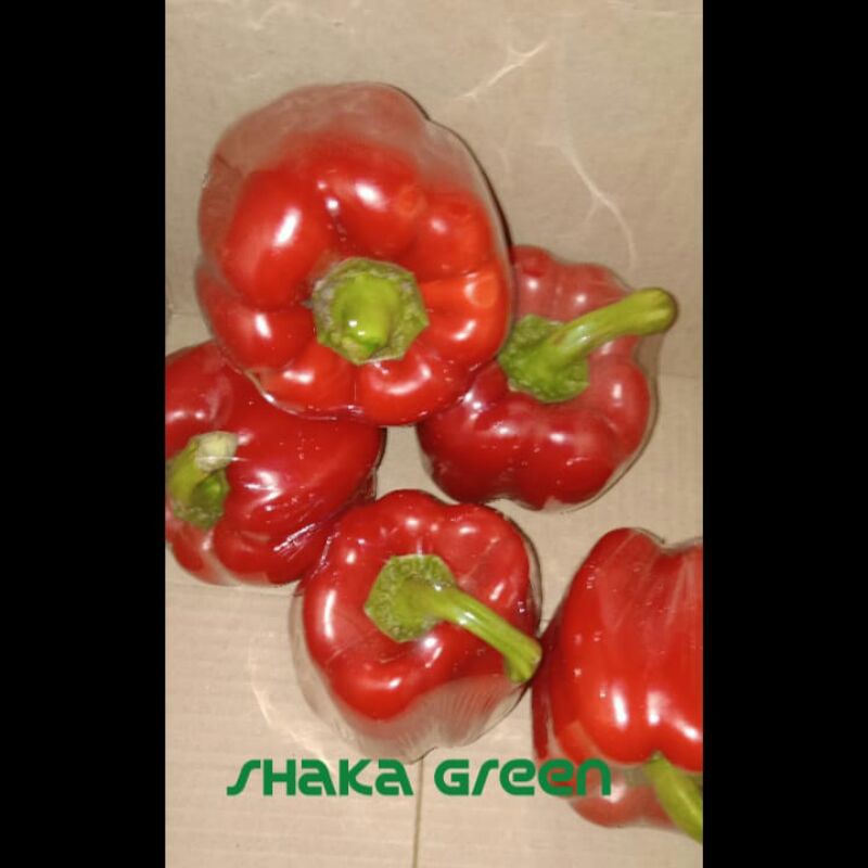 

paprika merah