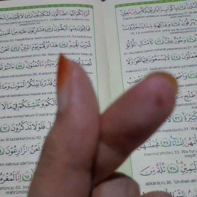 Stainless Lunch Jar Tiger [pink/gold] Lwr-a092