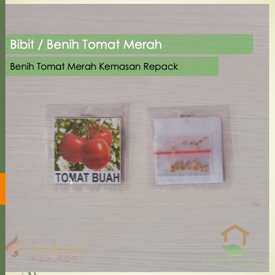 Biji Tomat Merah / Benih Tomat Merah /Benih Tomat Sayur /Benih Sayuran