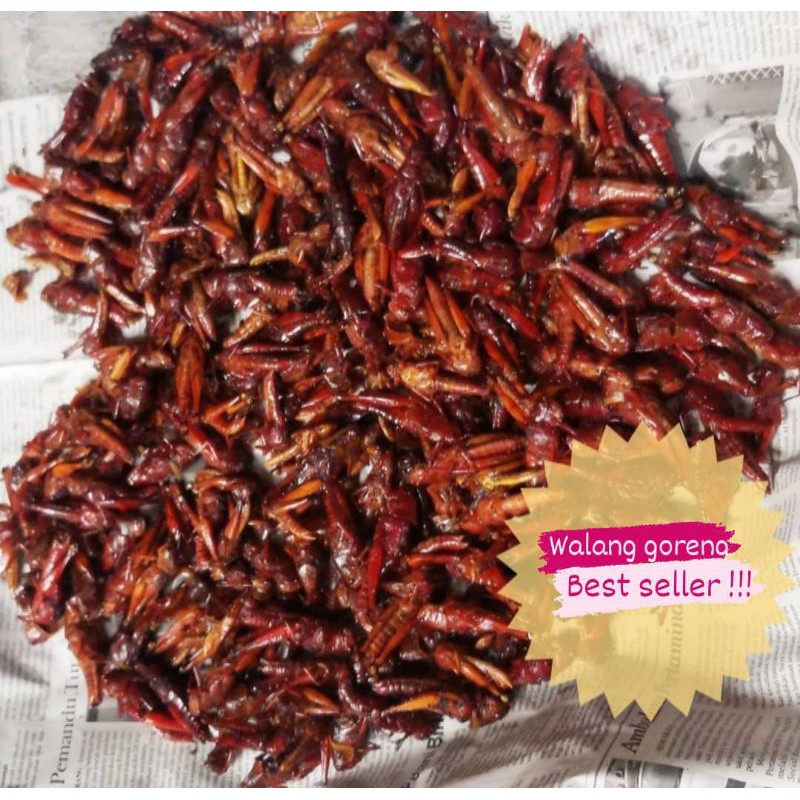 

Belalang/walang goreng kemasan 500gr