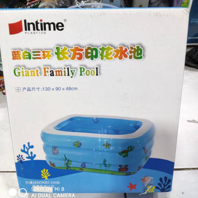 Kolam renang merk Intime