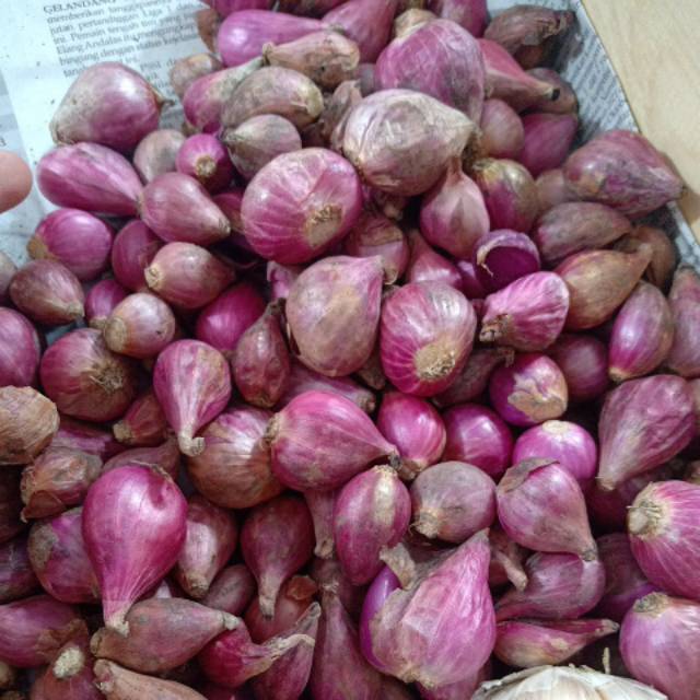 

BAWANG MERAH 100GR