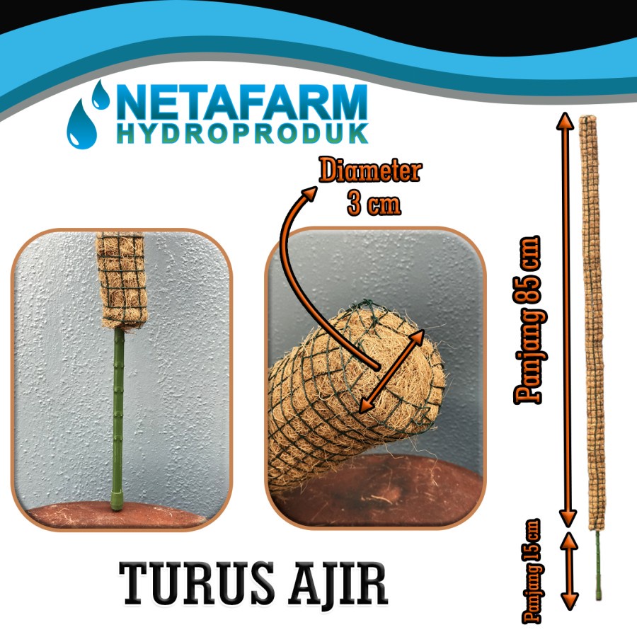 Turus Ajir Modern Sabut Kelapa diameter 3cm tinggi 100cm