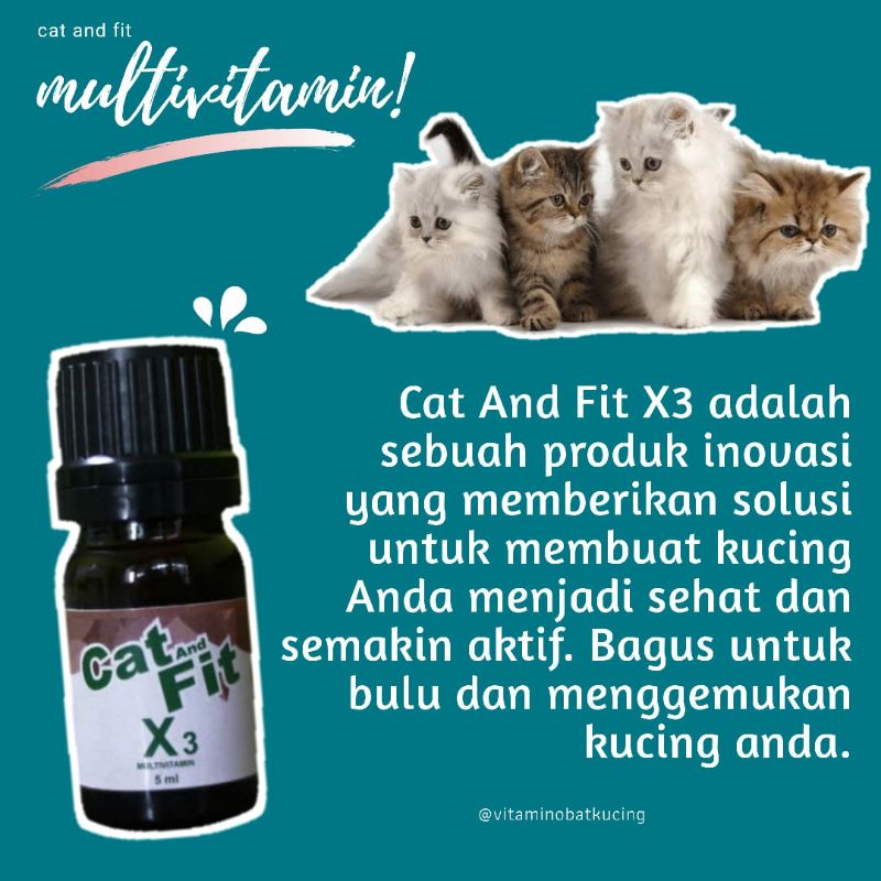 Paket Bebas Jamur dan Bulu lebat Kucing Cat and Fit X1 dan X3