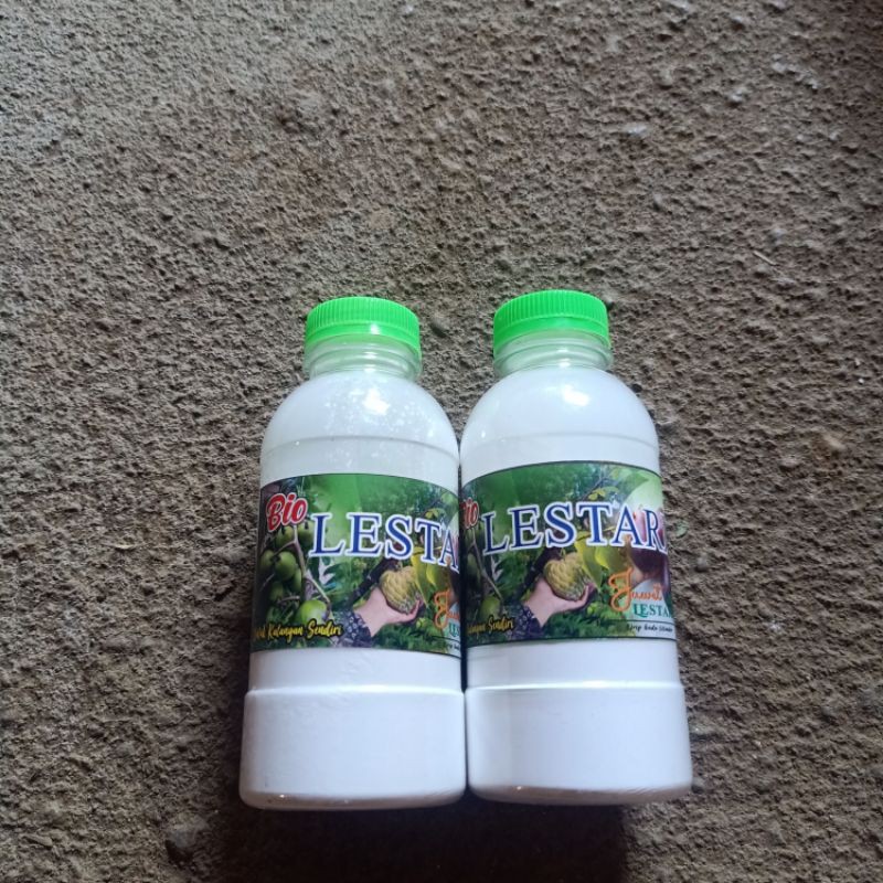 obat perangsang bibit buah2an