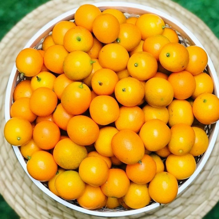 

Shantang KimKit Orange
