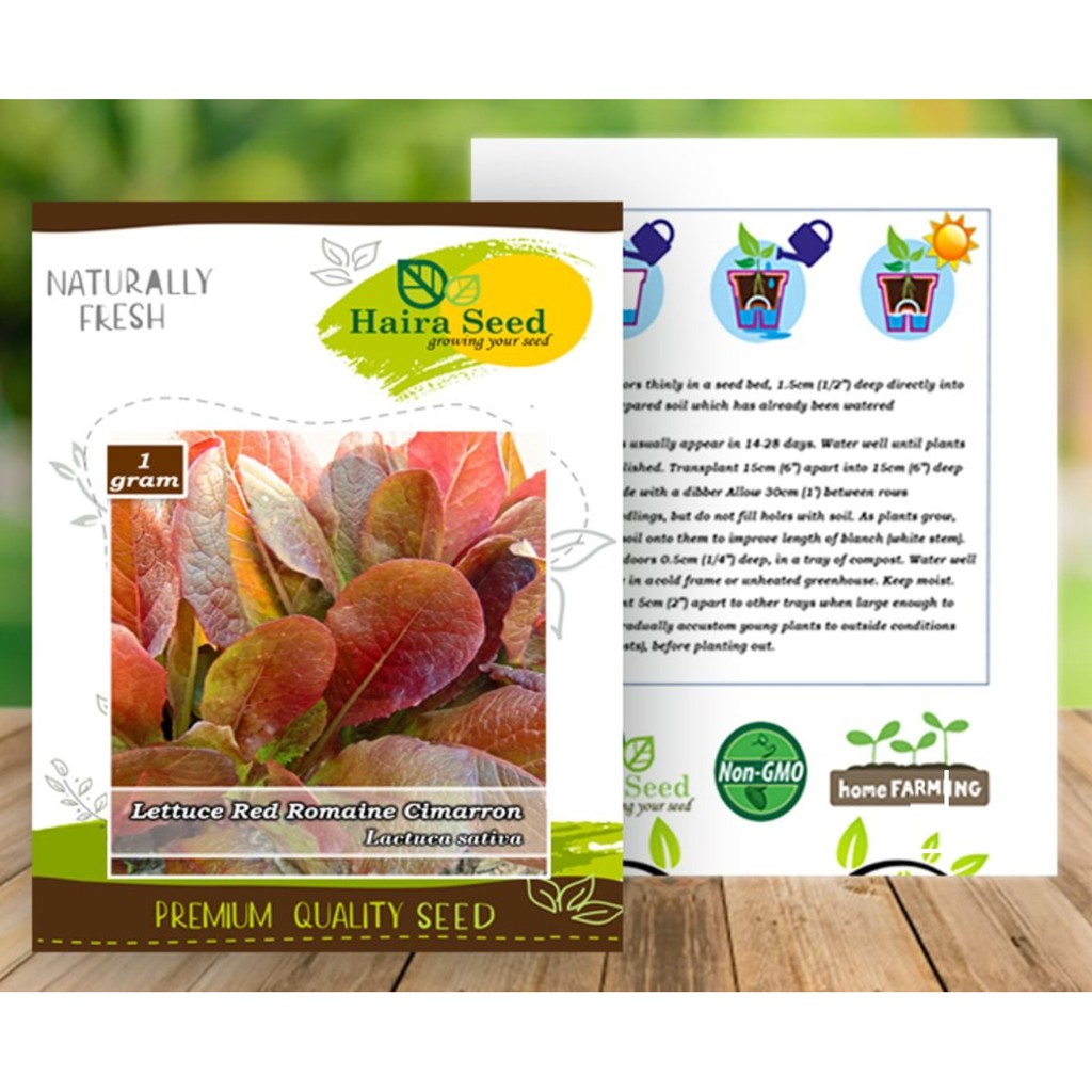 BIBIT SELADA ROMAINE / LETTUCE RED ROMAINE CIMMARON / HAIRA SEED / ASLI PABRIKAN
