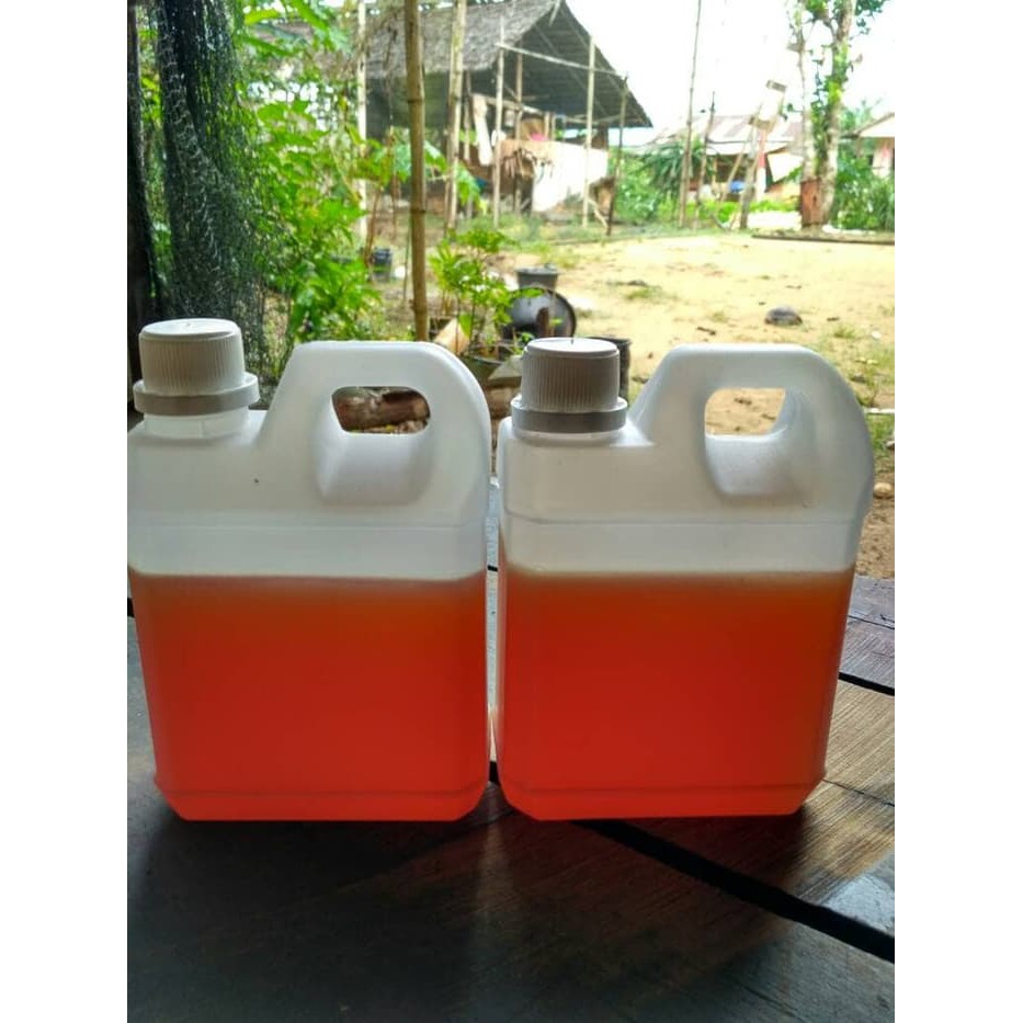 

MADU KELULUT ASLI HUTAN KILOAN - MMD1786