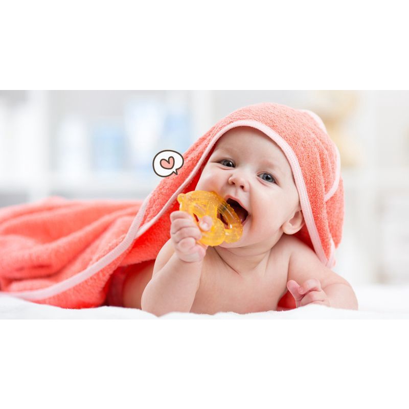 Mainan Gigitan Bayi/Baby Teethers Aobaoli/Water Filled Teether PangPang/Xibei Teethers