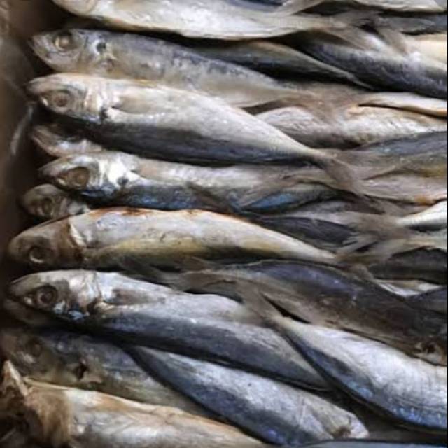 

Ikan asin buled 250gr