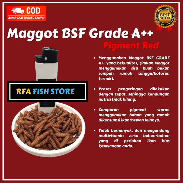 Maggot Kering BSF Grade A++ Pigment RED RFA Pakan ikan predator channa maru asiatica  bukan el barca