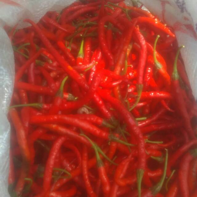 

Cabe merah besar