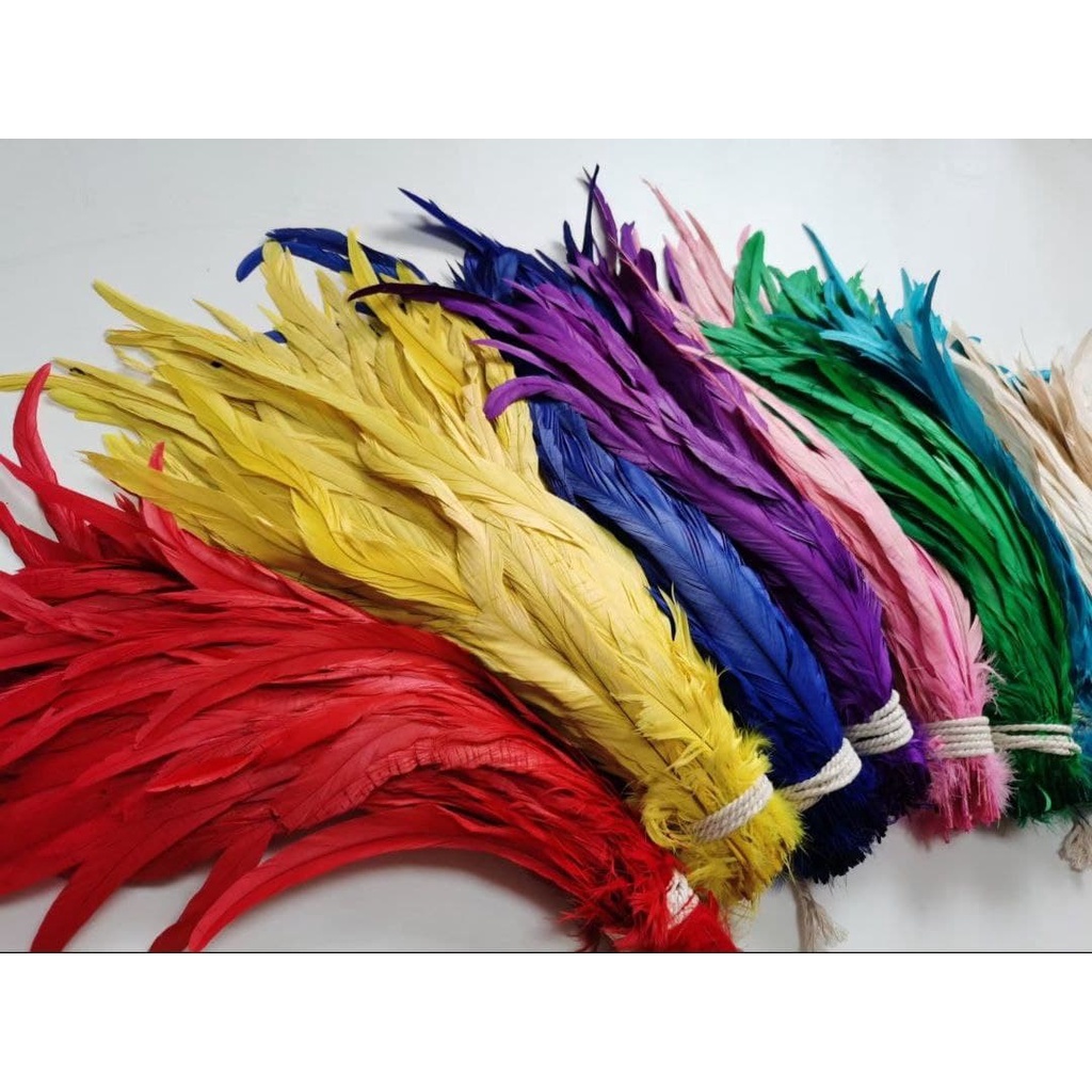 Dunia Bulu: Panduan Lengkap Memilih dan Merawat Bulu untuk Berbagai Kebutuhan