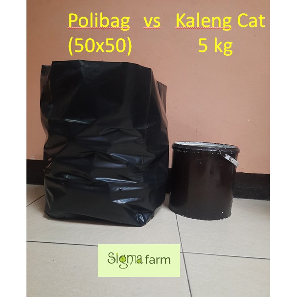 Plastik Polibag Tanaman Ukuran 50 x 50 cm | Polybag  Polibeg Poliback Jumbo untuk Tanaman