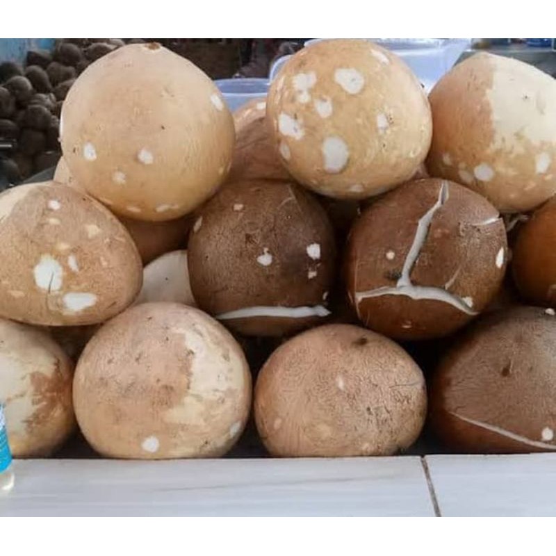 

Kelapa Parut / Santan Kelapa