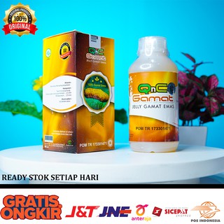 Jual Obat Alami Mual, Mual Pada Ibu Hamil, Obat Alami Muntah, Obat