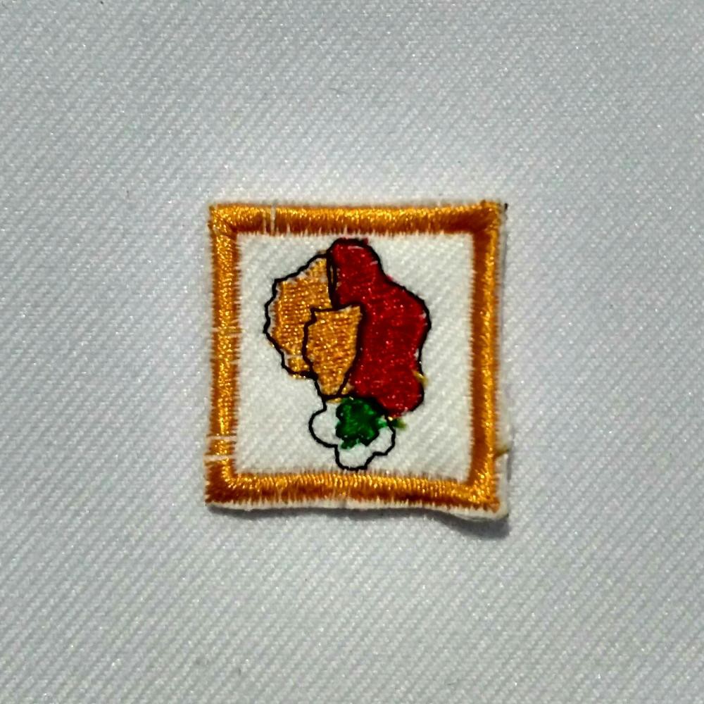 TKK Penegak Madya - Kesehatan Remaja Saka Bakti Husada