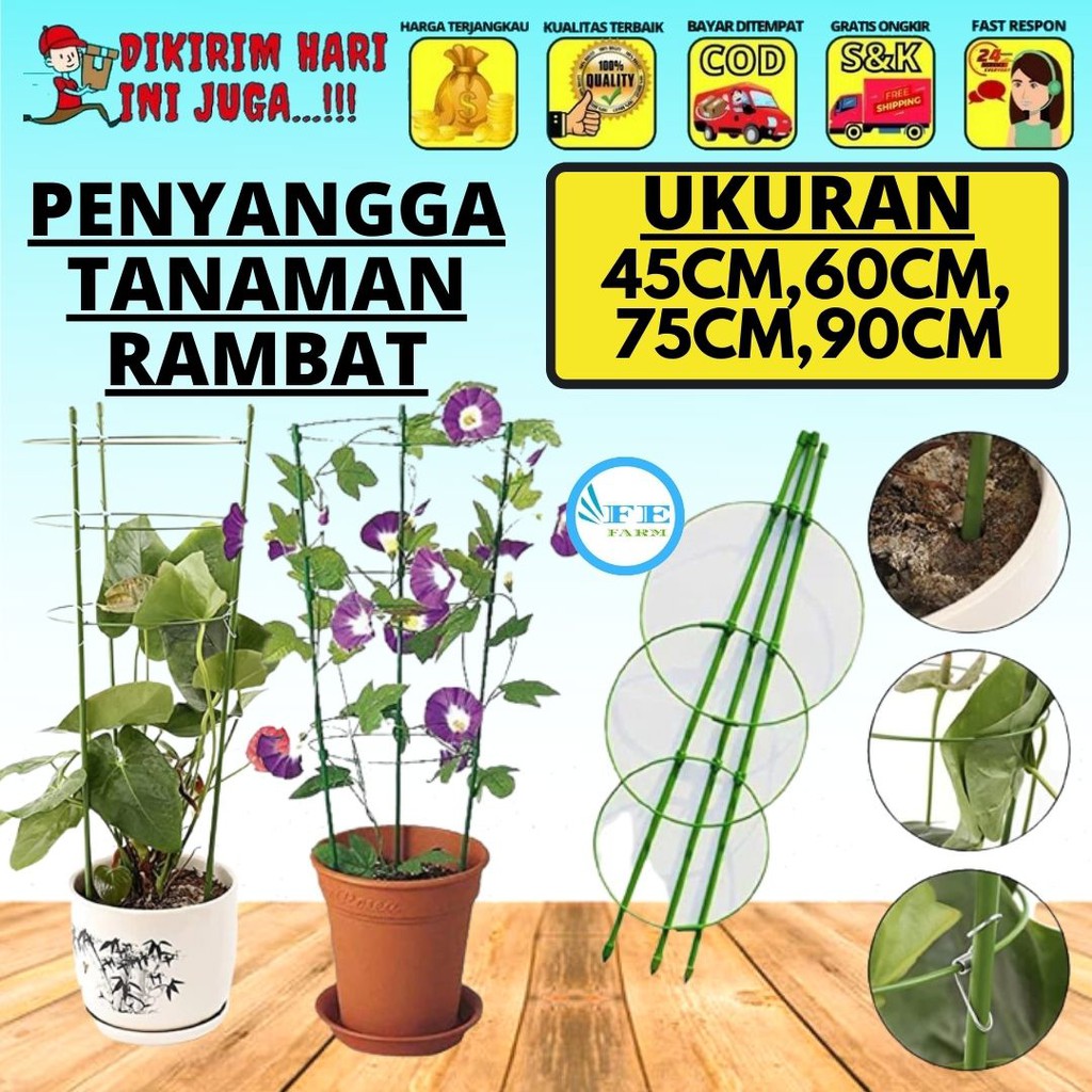 Penyangga Tanaman Rambat FEFARM