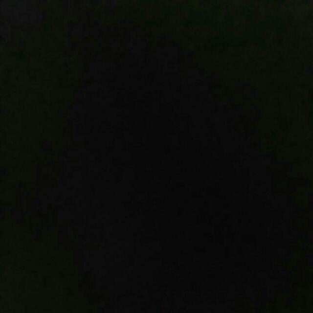 Jaring Burung Senar 2.¼012 100/100 Yoko