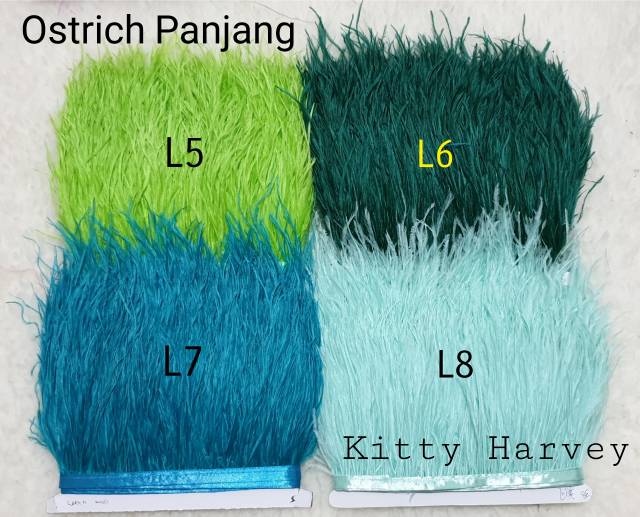 BULU OSTRICH PANJANG 1METER